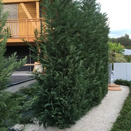 Chalet A La Campagne Coise-Saint-Jean-Pied-Gauthier